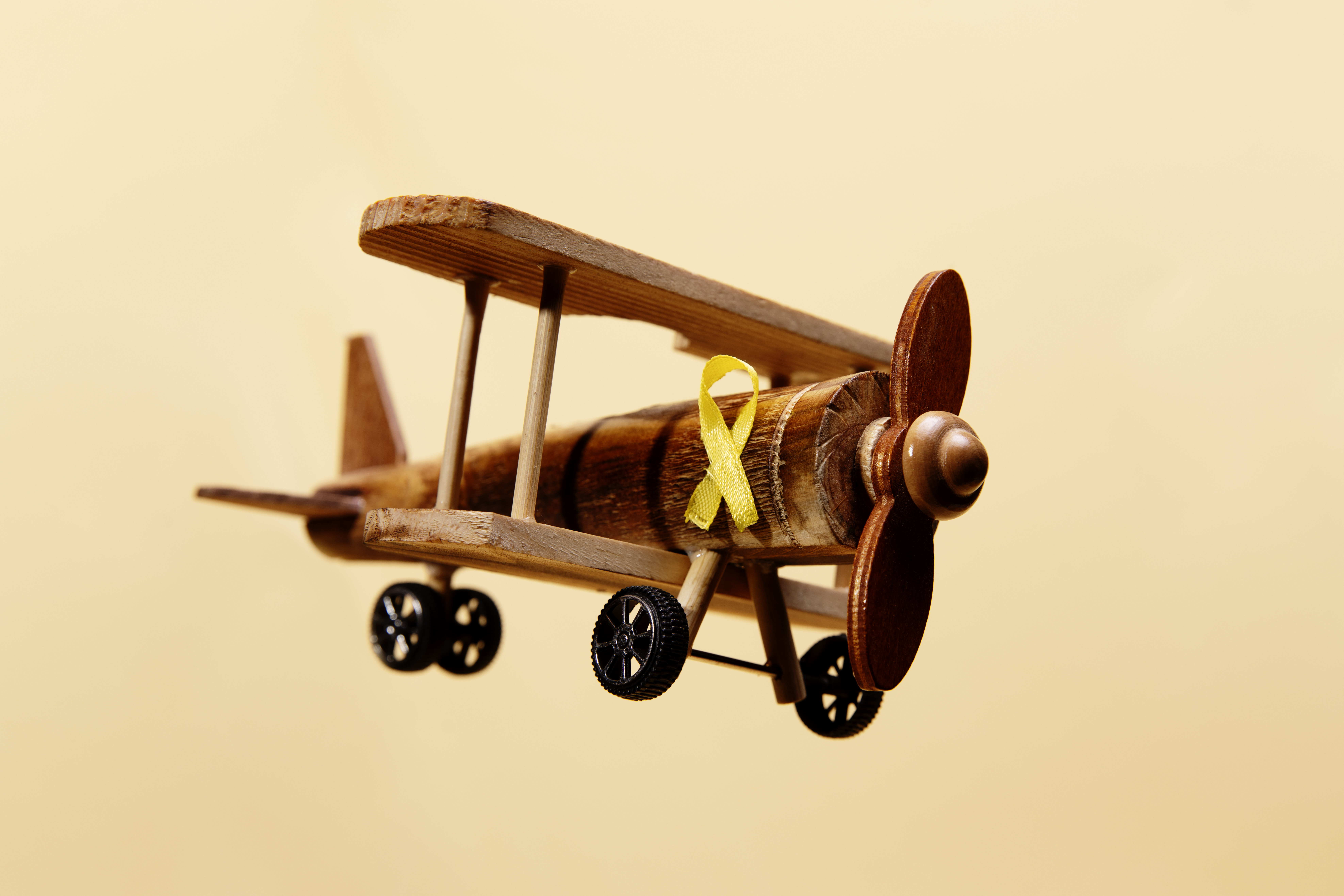childhood-cancer-awareness-biplane